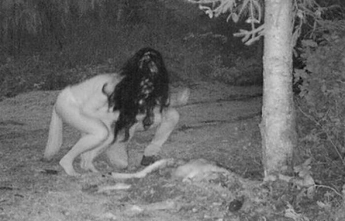 Mujer captó a dos «brujas» en el patio de su casa comiendo un cadáver