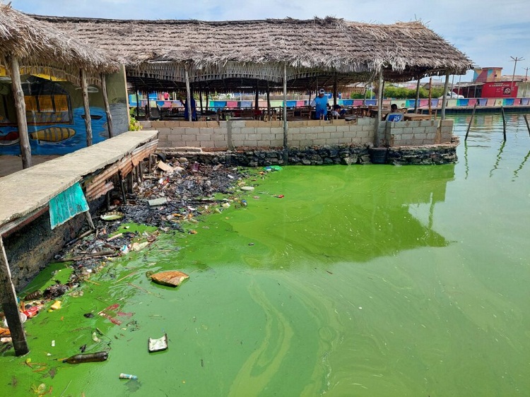 Ministro de Ecosocialismo descarta que lago de Maracaibo esté en emergencia por contaminación