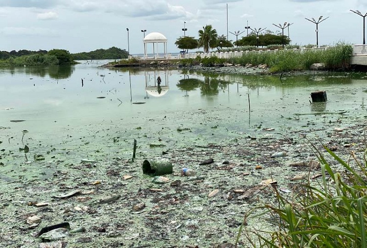 Diputada Barboza denunció ecocidio en el Lago de Maracaibo