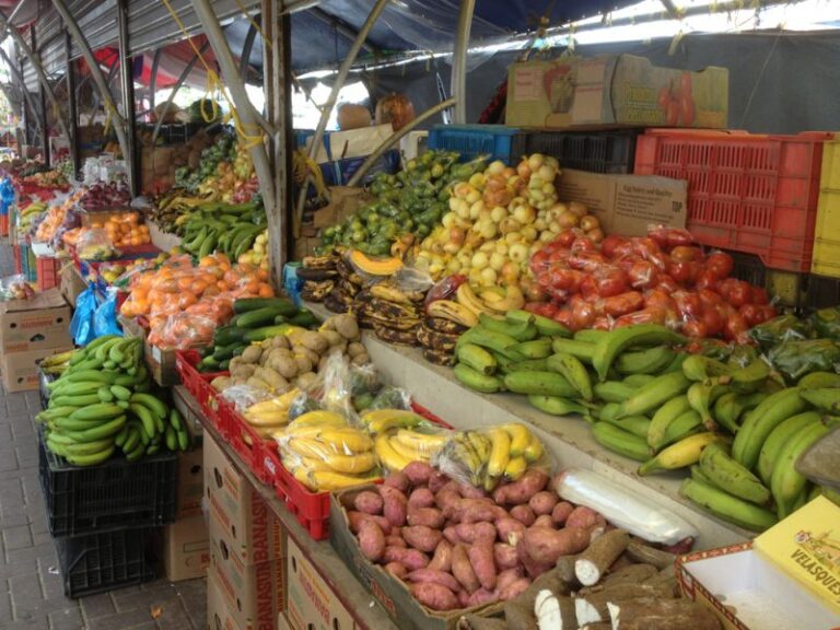 Desde el 1 de agosto entra en vigencia el nuevo permiso sanitario para movilizar frutas y verduras