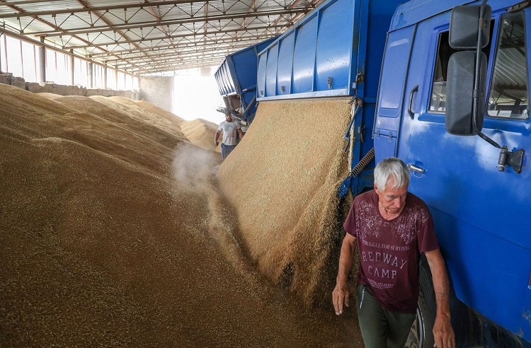 Rusia congela acuerdo de guerra para exportar grano ucraniano