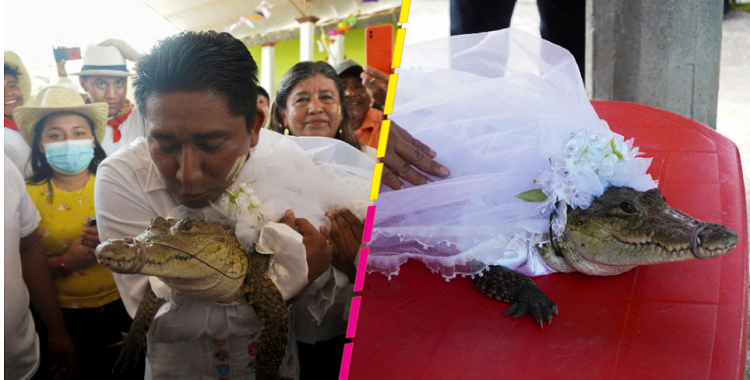 Alcalde de Oaxaca se casó con un cocodrilo