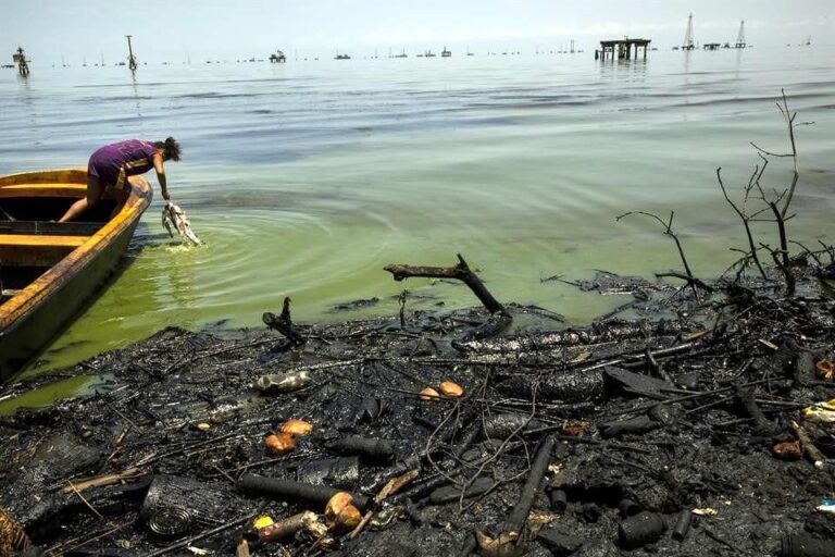 Más de 100 científicos se reúnen en Maracaibo para salvar el Lago