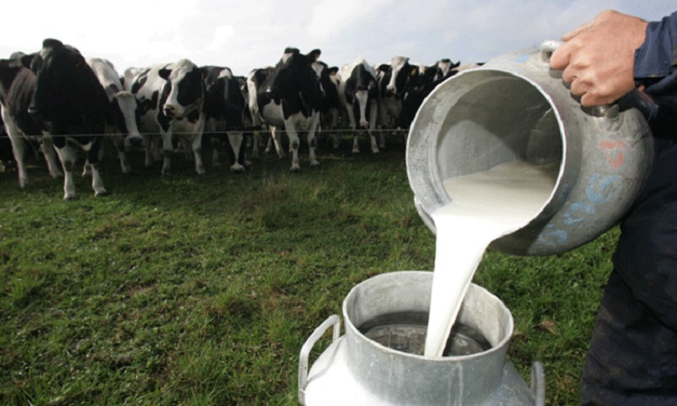 Producción de lácteos en Venezuela es estable y podría empezarse a exportar