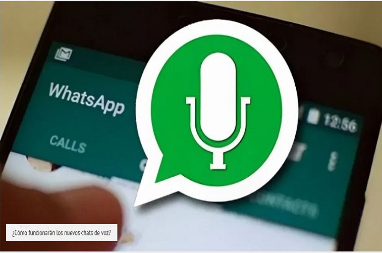 Chats de voz grupales de WhatsApp lo nuevo que trae la APP