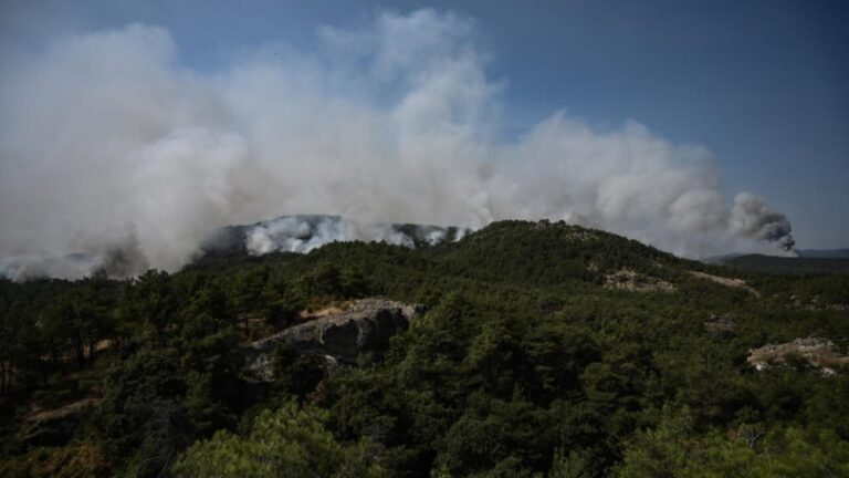 Sigue fuera de control el incendio del parque nacional de Dadiá, en Grecia