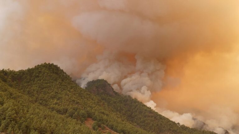 A 7.600 ascienden los evacuados por el avance de incendios en Tenerife