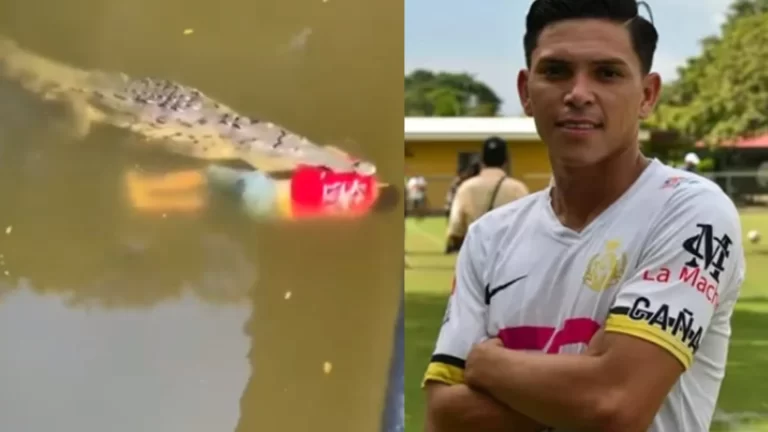 Futbolista es atacado  por un cocodrilo en Costa Rica