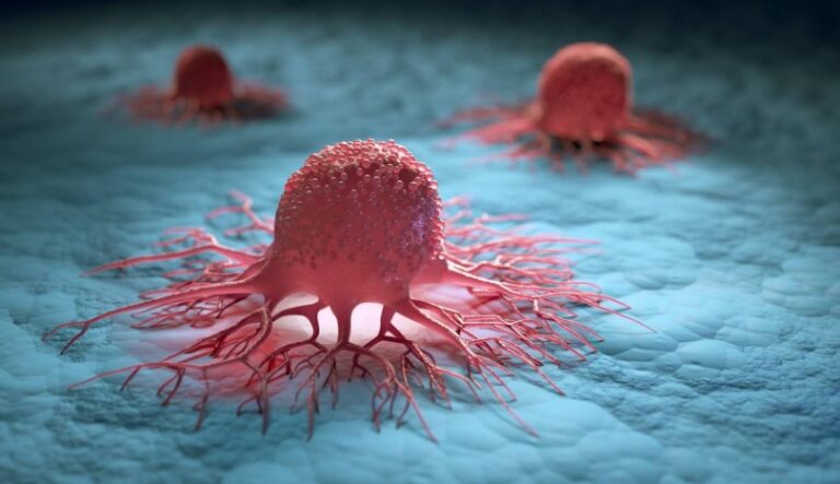 Científicos descubren una nueva forma de derrotar las células cancerosas «invisibles»