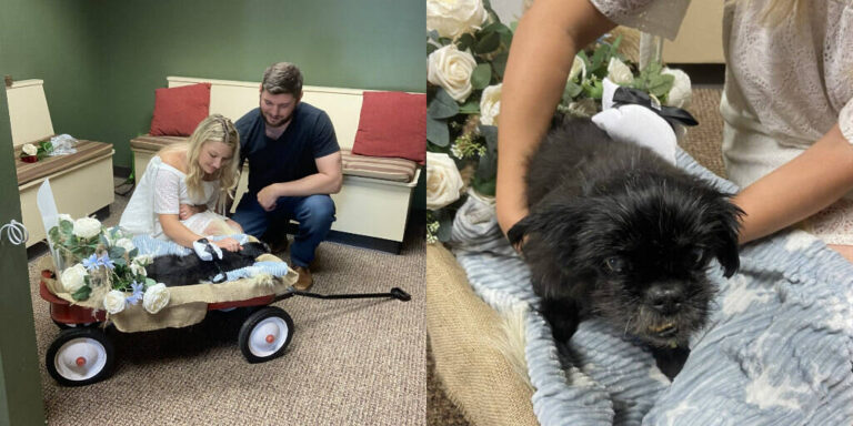 Pareja se casó en una clínica veterinaria para celebrar su boda junto a su perro enfermo