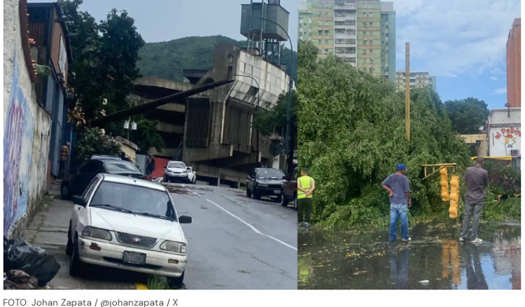 Fuertes lluvias derriban árboles en Caracas