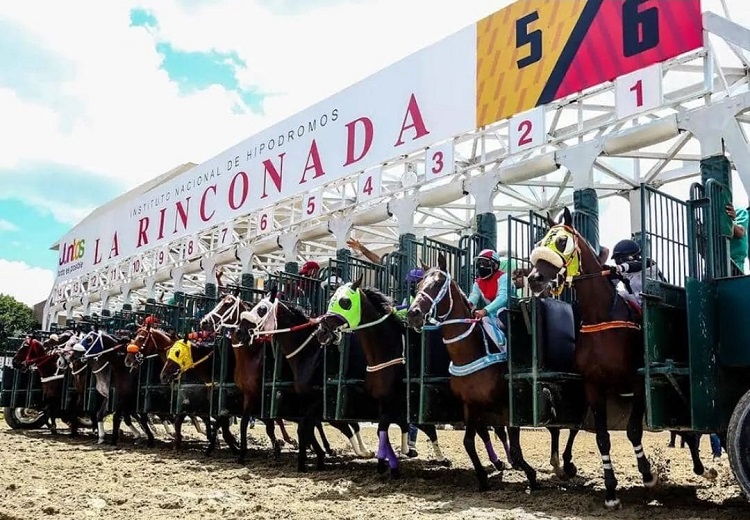 Carreras de caballos en La Rinconada serán en vivo y directo