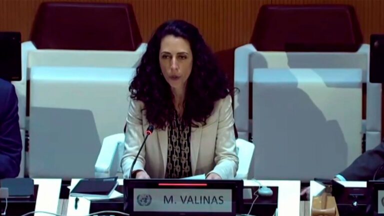 Misión de la ONU: El Estado venezolano no está dispuesto a corregir violaciones del pasado