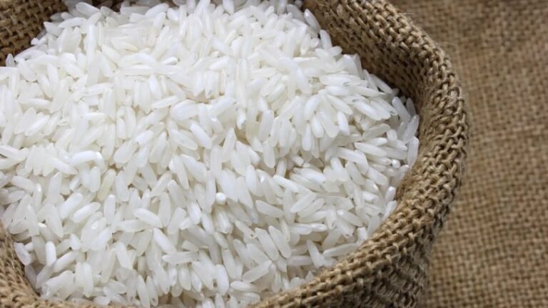 El arroz alcanza su precio mundial más alto en 15 años, según FAO