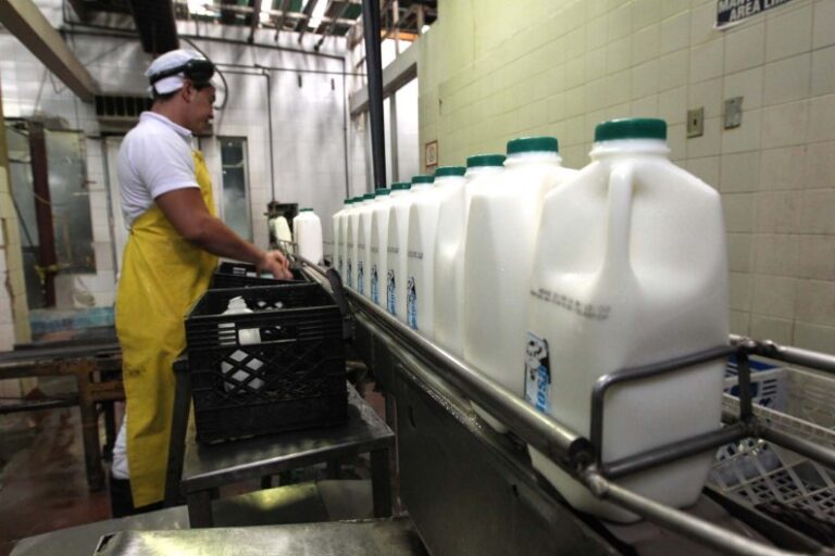 Cavilac: Sólo estamos aprovechado entre el 10 y 12% de la producción de leche por una débil cadena de frío
