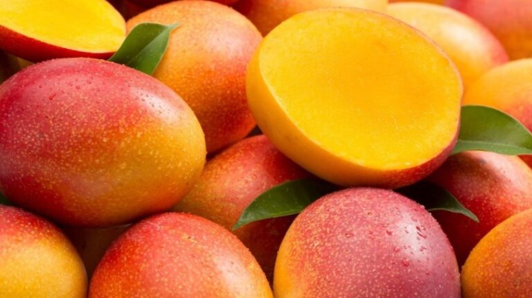 Alcalde de San Carlos propone al Gobierno construir planta despulpadora de mango