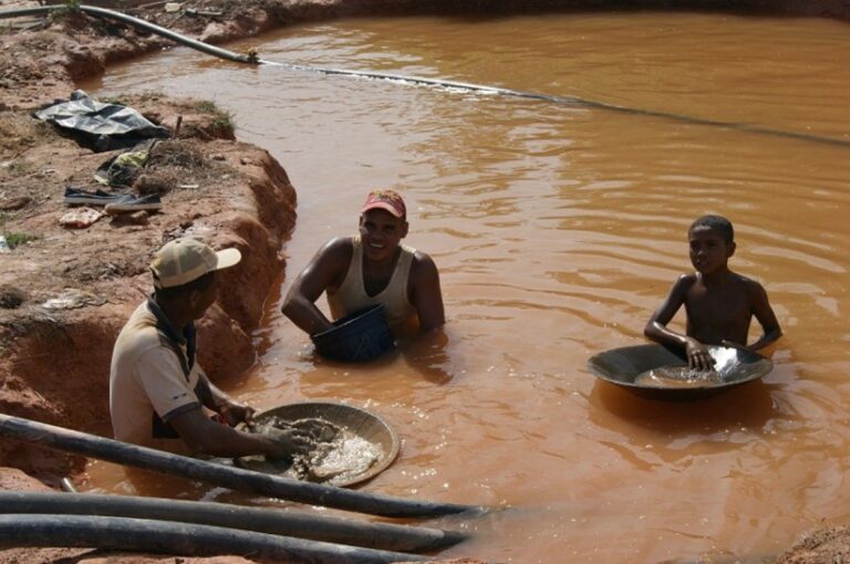 Experta de ONG dice que «es insuficiente» la lucha de Venezuela contra la minería ilegal