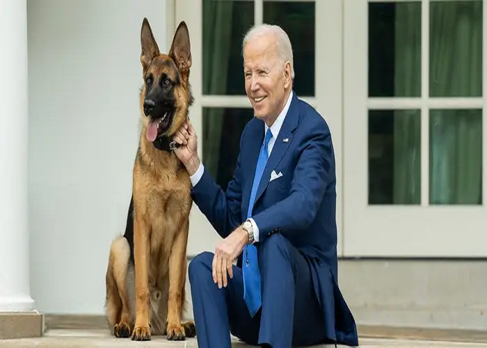 El perro de Joe Biden, volvió a atacar a un trabajador de la Casa Blanca