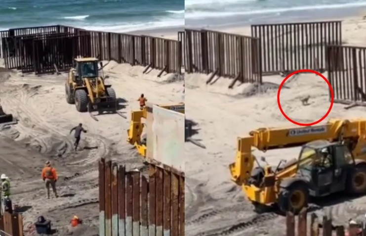 Varios migrantes y un perro cruzan hacia Estados Unidos mientras se realizan trabajos en el muro fronterizo