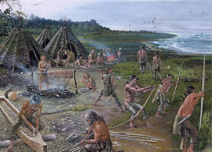 Estudio: los antepasados ​​de la humanidad casi se extinguieron hace unos 900 mil años