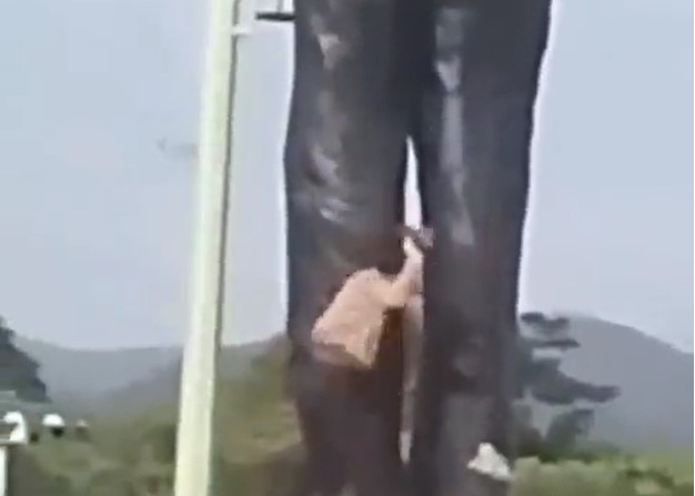 Carabobo| Hombre daña a machetazos monumento de José Gregorio Hernández (-Video)