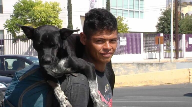 Un perrito recorrió 12 países junto a su dueño y lo asesinaron durante un robo en México