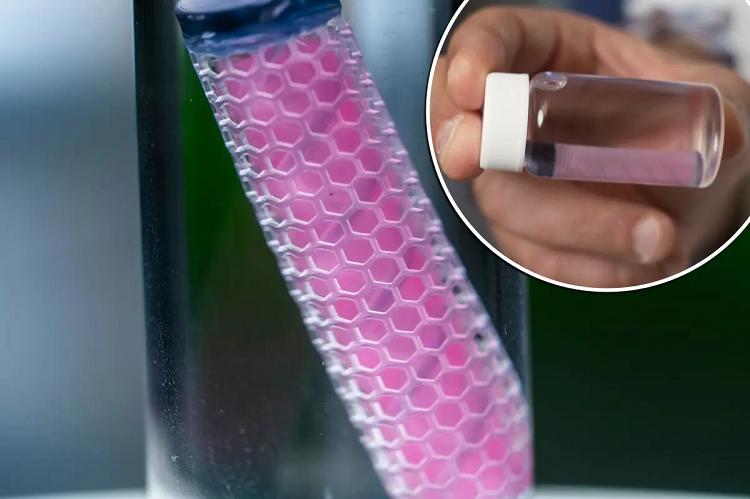 Científicos desarrollan implante que esperan cure el cáncer en 60 dias