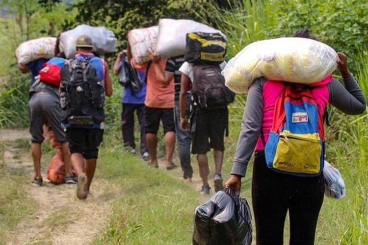 Migrantes venezolanos cruzan la selva del Darién pese al riesgo de deportación por EEUU
