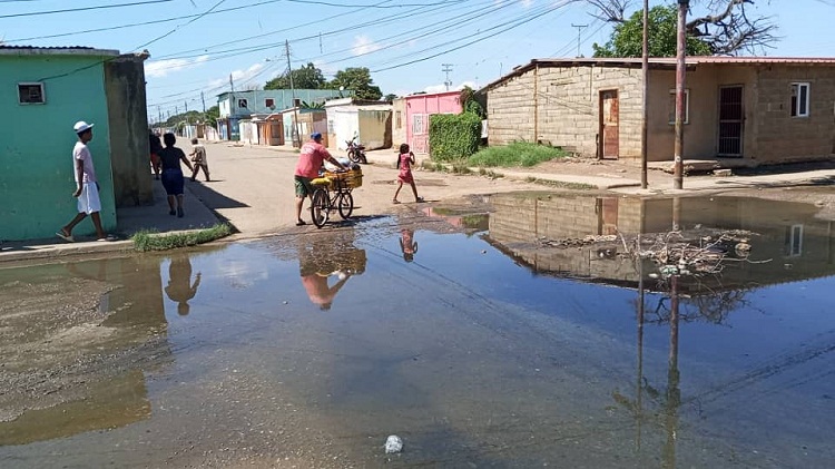 Habitantes del barrio Cruz Verde llevan dos meses inundados de aguas negras y expuestos a contaminación