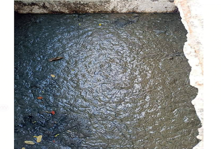 Punto Fijo| Aguas negras se vuelven a desbordar en la UEN Mene Grande 