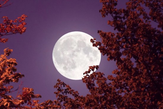 Este 27-Nov se podrá disfrutar la «Luna Llena del Castor»