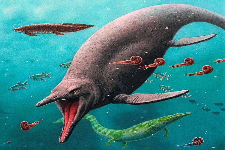Hallan fósil de un reptil marino de 70 millones de años