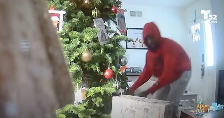 Un «Grinch» roba los obsequios de Navidad en una casa: Sepa más (+Video)