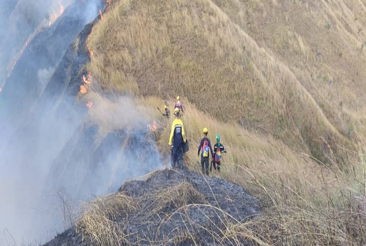 250 hectáreas del parque Henri Pittier en Aragua fueron consumidos por un incendio de gran magnitud