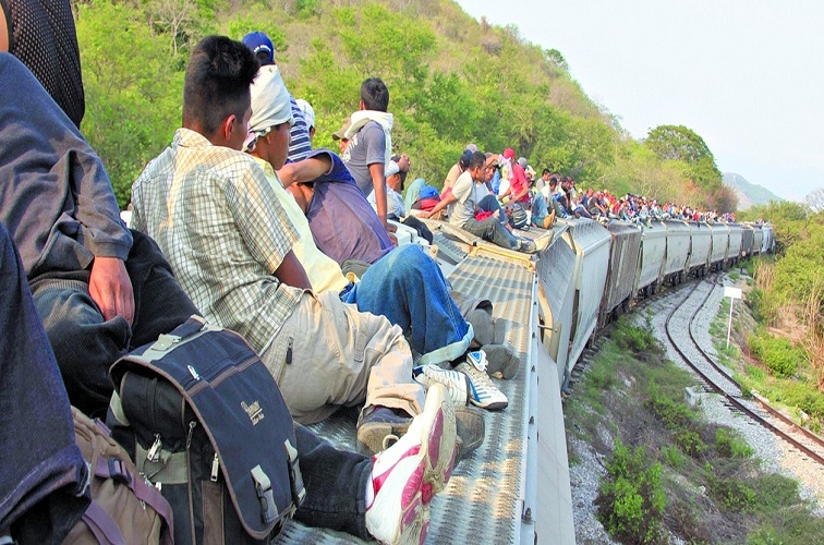 Un venezolano fallece al caer de «La Bestia», el tren que utilizan los migrantes para ir a EEUU