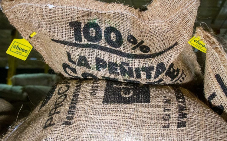 Venezuela exporta 2,8 toneladas de café de especialidad a Japón
