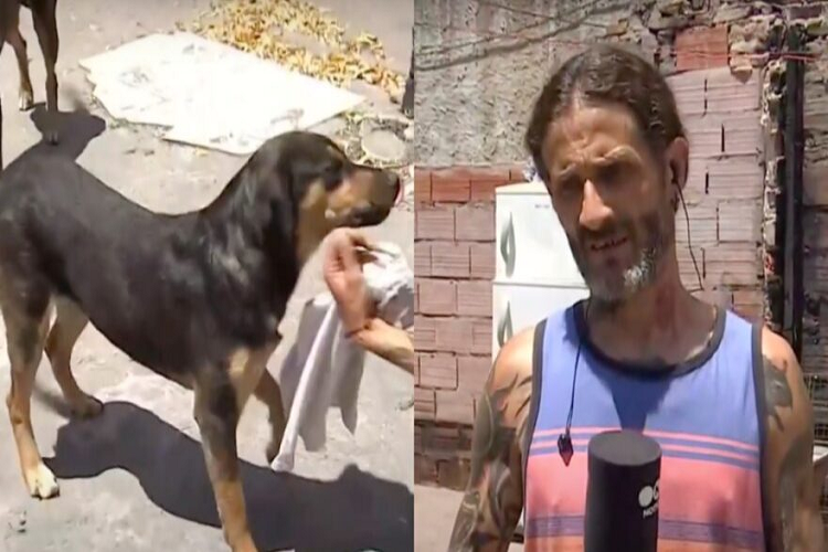 Argentina | Un perro salva a su dueño y a un gato de morir asfixiados en un incendio