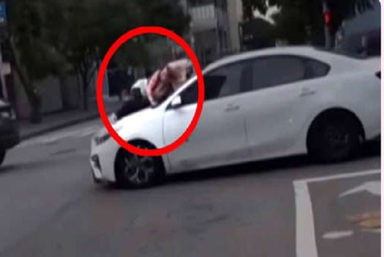 Le robaron el perro y se aferró en el capó del auto de los ladrones (+Video)