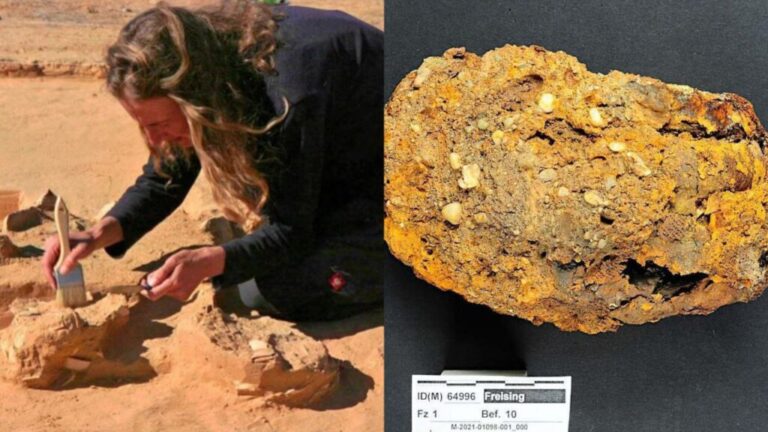 Arqueólogos descubren una «Mano Robótica» de más de 600 Años de antigüedad