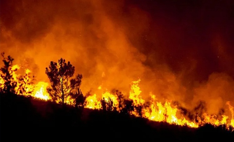 Petro declara desastre natural y calamidad por incendios forestales en Bogotá