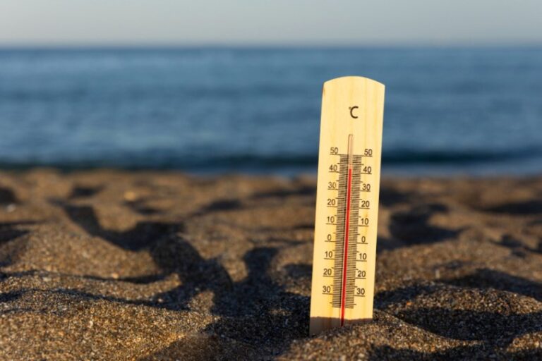 El 2023, el año más cálido desde que hay registros