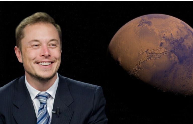 Elon Musk es nominado para el Premio Nobel de la Paz