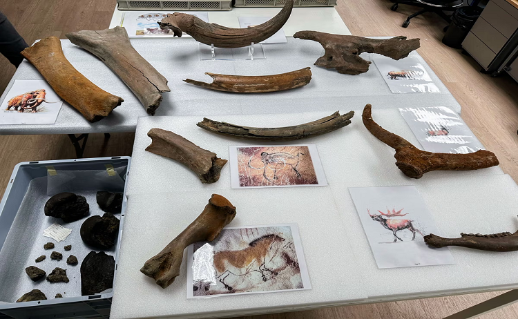Encuentran huesos de mamut durante las excavaciones en el metro de Bruselas