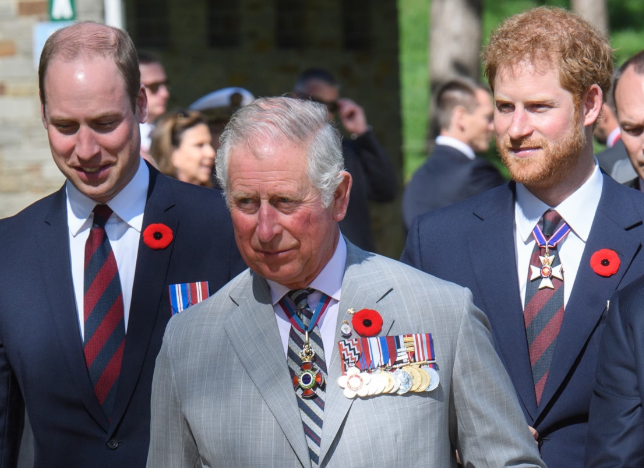 Lo que dijo el Príncipe Harry sobre su visita al Rey Carlos después del diagnóstico de cáncer