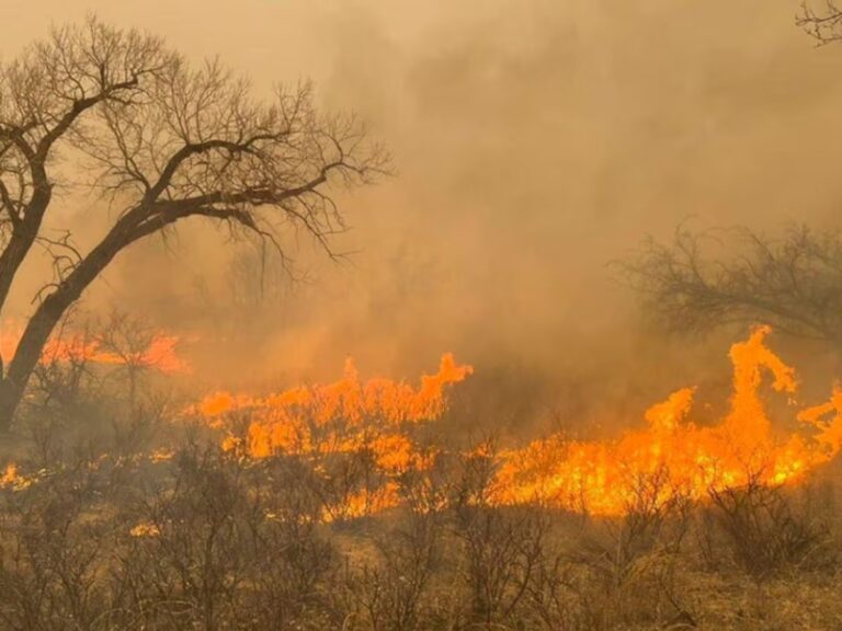 Un muerto en un incendio forestal en Texas, uno de los mayores de su historia