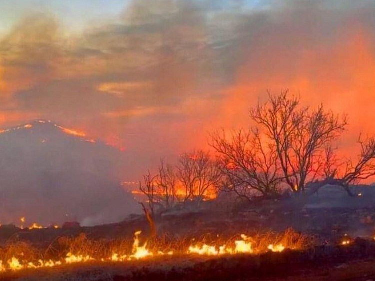 Miles de evacuados y damnificados por incendios forestales en Texas