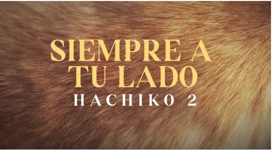 «Hachiko 2: siempre a tu lado» se estrenará en cines este 2024 y este es tráiler oficial