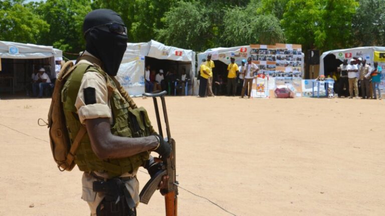 Mueren 23 soldados en una emboscada “terrorista” en Níger