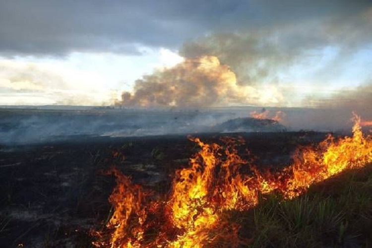 Detectan 27 incendios forestales en Canaima durante el mes de marzo