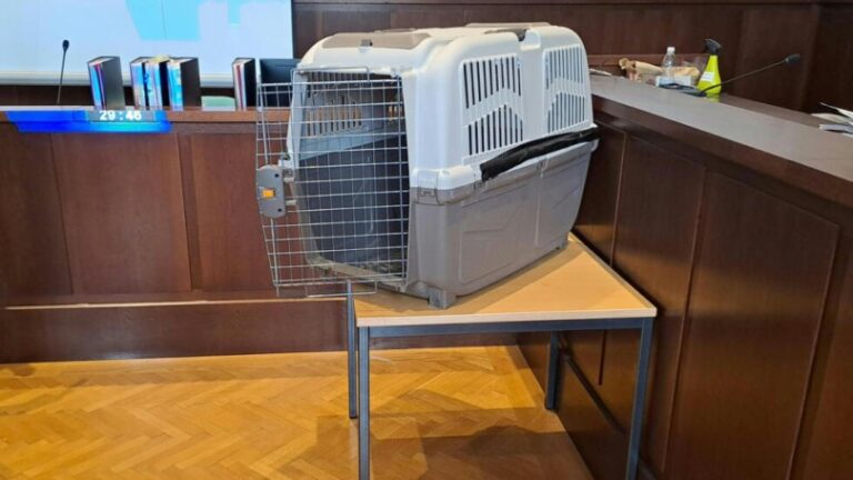 Condenan a 20 años de cárcel a una madre austríaca por torturar a su hijo en una jaula para perros